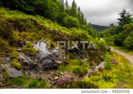 Hiking Trail Through Scenic Forest Landscape On Th 49808506