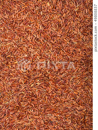 Fresh raw organic red rice on white background. 49808837