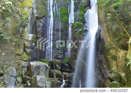[和歌山新宮市]柏崎瀑布（日本的百瀑布） 49810397