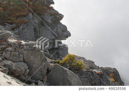 King Kong Rock King Kong Rock 49810506