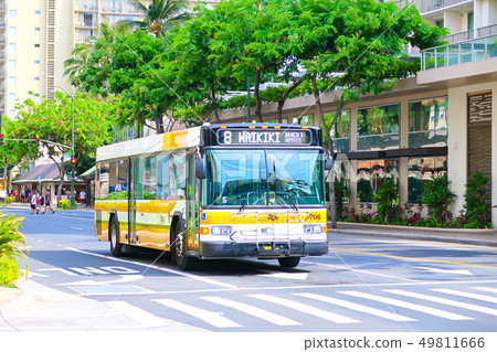 Bus (Hawaii Waikiki) 49811666