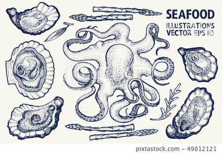 Seafood and vegetables vector set. Vintage hand 49812121