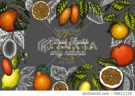 Citrus design templete. Hand drawn vector colour 49812126