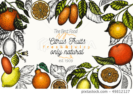 Citrus design templete. Hand drawn vector colour Citrus design templete. Hand drawn vector colour 49812127