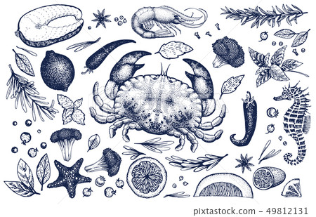 Seafood and spices vector set. Vintage hand drawn Seafood and spices vector set. Vintage hand drawn 49812131