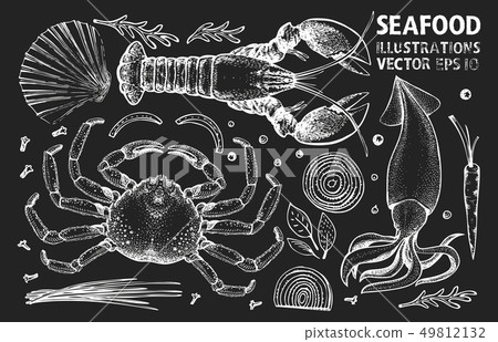 Seafood and spices vector set. Vintage hand drawn Seafood and spices vector set. Vintage hand drawn 49812132