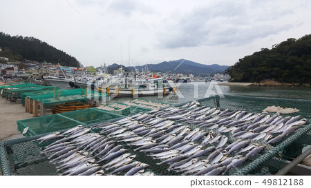 Landscape of Wando Port in Jeollanam-do, Korea 49812188