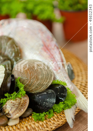 geoduck, pairing, a cockleshell 49812343