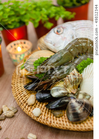 geoduck, pairing, a cockleshell 49812344
