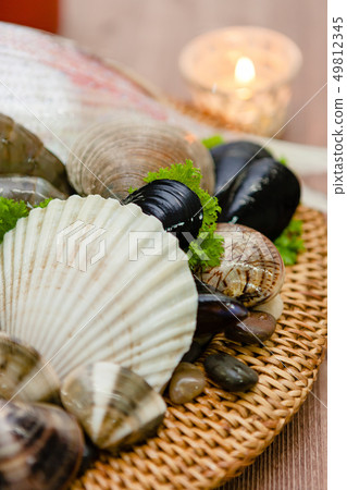 geoduck, pairing, a cockleshell 49812345