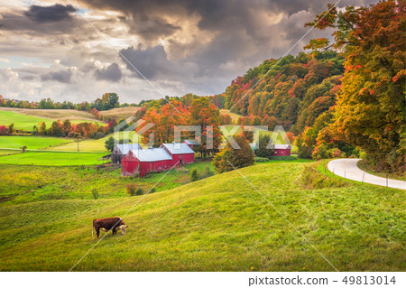 Farmland in Vermont Farmland in Vermont 49813014