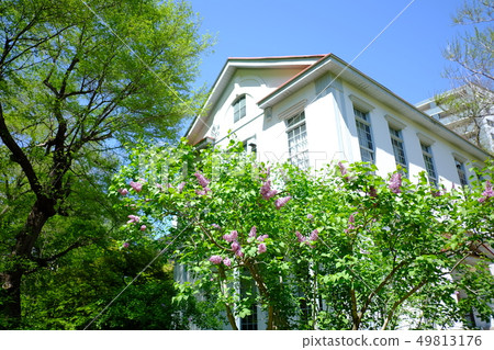 北海道大學植物園 49813176