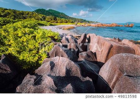 Natural tropical and isolated beach with big granite rocks, lush foliage on a sunny day, Grand L 49813598