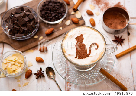Hot chocolate with cat silhouette 49813876