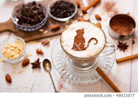 Hot chocolate with cat silhouette 49813877