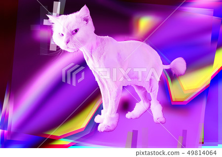 Pink Cat Retro Wave Synth Vaporwave Portrait 插圖素材 圖庫