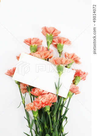 Beautiful spring flowers, living coral color carnation, mistletoe, rose 49814072