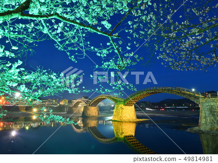 Kintai-kyo橋和櫻花點亮 49814981