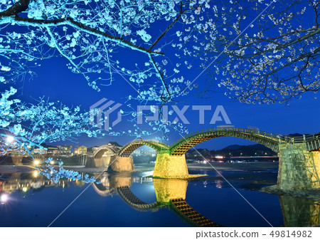 Kintai-kyo橋和櫻花點亮 49814982