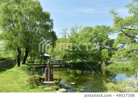 新鮮的綠色Azumino芥末領域春天水小組 新鮮的綠色Azumino芥末領域春天水小組 49817386