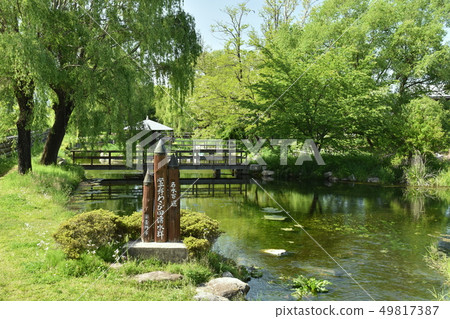 Azumino wasabi field spring group Azumino wasabi field spring group 49817387