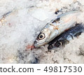 Fresh Saba fish in market 49817530