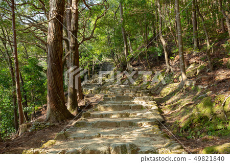 The approach of Kamikura Shrine The approach of Kamikura Shrine 49821840