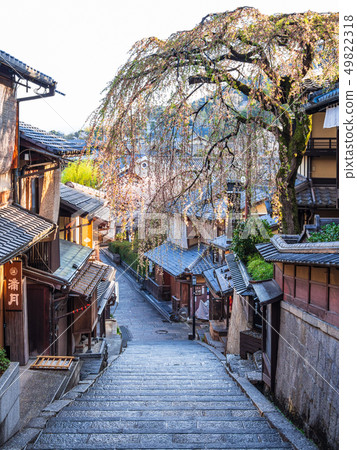 京都三生Saka在春天 京都三生Saka在春天 49822318