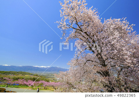 View from Yatsushiro Furusato Park View from Yatsushiro Furusato Park 49822365