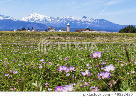 在鳥取縣倉吉市Sekigane鎮的Renge Field,農業大學和降雪中國山區 在鳥取縣倉吉市Sekigane鎮的Renge Field,農業大學和降雪中國山區 49822480