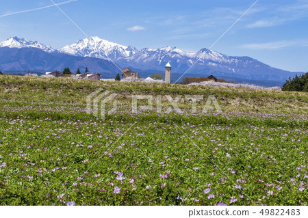 在鳥取縣倉吉市Sekigane鎮的Renge Field,農業大學和降雪中國山區 在鳥取縣倉吉市Sekigane鎮的Renge Field,農業大學和降雪中國山區 49822483