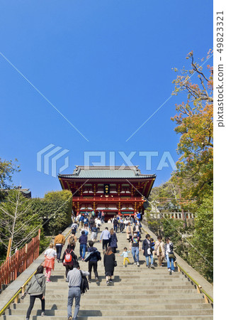 [Kanagawa Prefecture] Kamakura Tsurugaoka Hachimangu Shrine 49823321