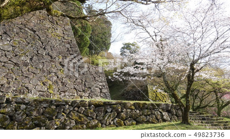 人吉城堡 49823736