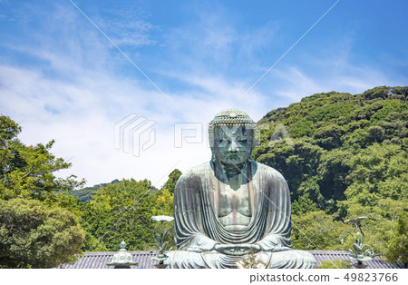[Great Buddha Kamakura] 49823766