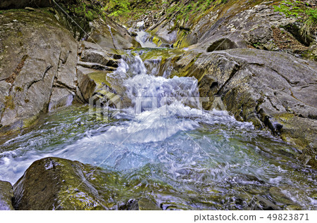 Pure summer flow of early summer Pure summer flow of early summer 49823871
