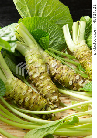 活芥末 活芥末 49824121