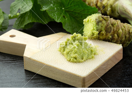 原料芥末瓢磨碎 原料芥末瓢磨碎 49824453