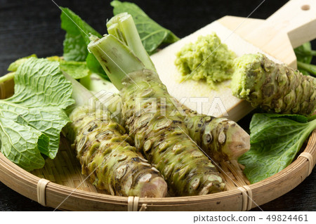 Raw wasabi scoop grated 49824461