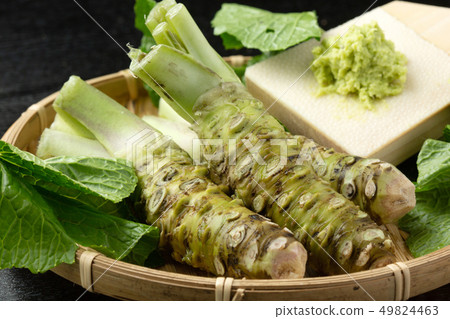 原料芥末瓢磨碎 49824463