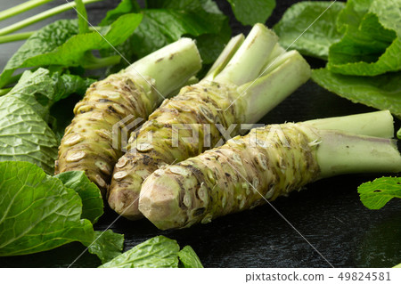 raw wasabi raw wasabi 49824581