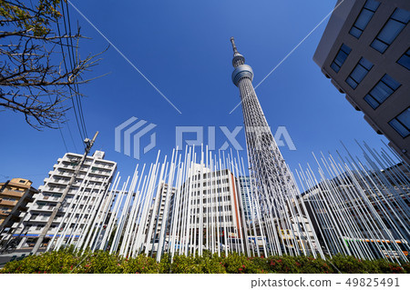 Tokyo Sky Tree looking up from below 49825491