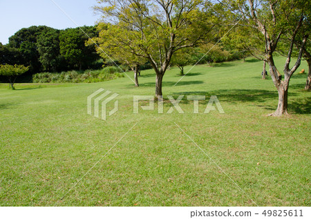 Izu Animal Kingdom grass square 49825611