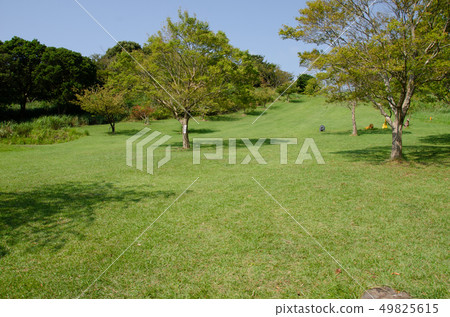 Izu Animal Kingdom grass square Izu Animal Kingdom grass square 49825615