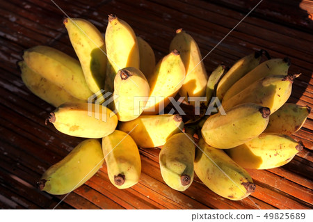 ripe cultivated bananas ripe cultivated bananas 49825689