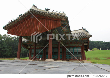 Hyeonggungneung, Hwaseong, Gyeonggi 49826837