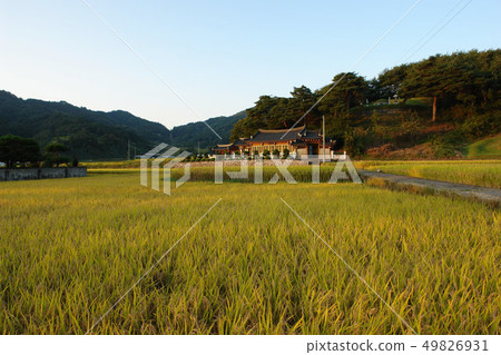 Gyeongbuk安東市Dosan Seowon Gyeongbuk安東市Dosan Seowon 49826931