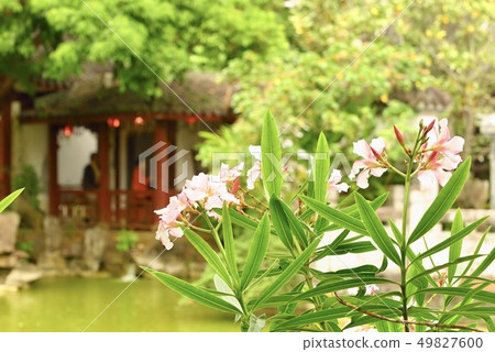 [Okinawa] Fushuen 49827600