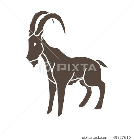 Ibex standing graphic vector Ibex standing graphic vector 49827610