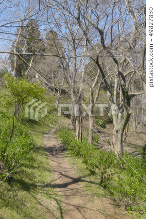 Green Road Road Green Zone Park 49827830