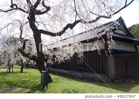 Spring of March, 2010 Imperial Palace Aridori general public (monarchy) Spring of March, 2010 Imperial Palace Aridori general public (monarchy) 49827847
